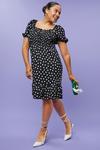 Dorothy Perkins Curve Black Spot Textured Shirred Mini Dress thumbnail 5