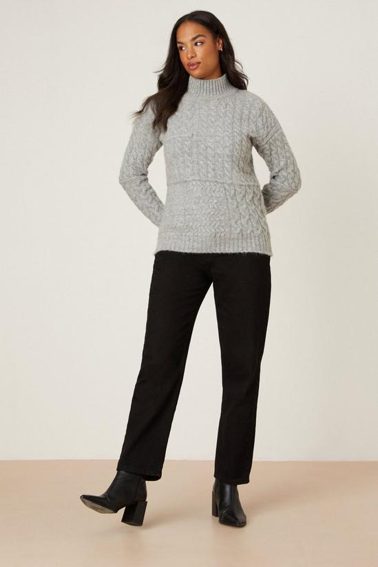 Dorothy Perkins High Neck All Over Cable Jumper 2