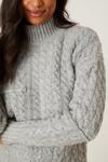 Dorothy Perkins High Neck All Over Cable Jumper thumbnail 4