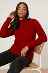 Dorothy Perkins High Neck All Over Cable Jumper thumbnail 1