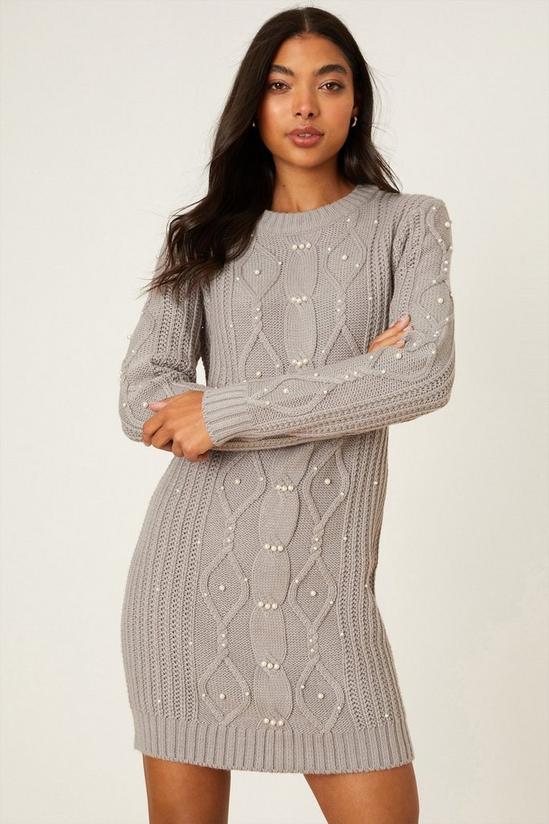 Dorothy Perkins Pearl Detailed Knitted Dress 1