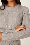 Dorothy Perkins Pearl Detailed Knitted Dress thumbnail 4