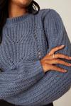 Dorothy Perkins Pointelle Knitted Jumper thumbnail 4