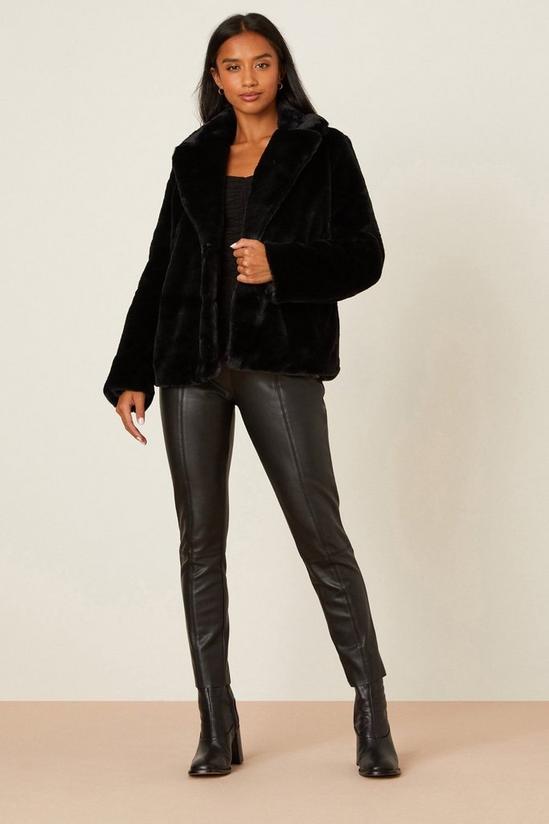 Dorothy Perkins Petite Luxe Plush Faux Fur Coat 2