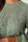 Dorothy Perkins Yoke Stitch Detail Knitted Jumper thumbnail 4