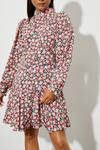 Dorothy Perkins Petite Multi Floral Long Sleeve Mini Dress thumbnail 5