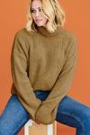 Dorothy Perkins Chunky Roll Neck Knitted Jumper thumbnail 1
