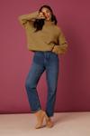 Dorothy Perkins Chunky Roll Neck Knitted Jumper thumbnail 3