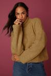 Dorothy Perkins Chunky Roll Neck Knitted Jumper thumbnail 4
