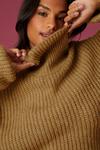 Dorothy Perkins Chunky Roll Neck Knitted Jumper thumbnail 6