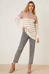 Dorothy Perkins Stripe Cable Knitted Jumper thumbnail 2