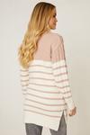 Dorothy Perkins Stripe Cable Knitted Jumper thumbnail 3