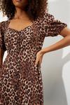 Dorothy Perkins Kitty Leopard Short Sleeve Button Midi Dress thumbnail 4