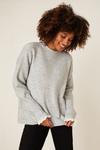 Dorothy Perkins Broderie Cuff Detail Knitted Jumper thumbnail 1