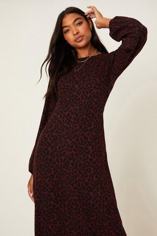 Dorothy Perkins Berry Leopard Soft Touch Midi Dress 1