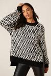 Dorothy Perkins All Over Stitch Detail Jumper thumbnail 1