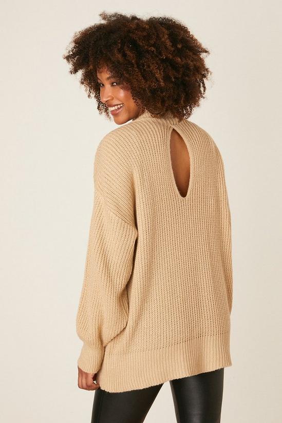 Dorothy Perkins Crew Neck Jumper With Open Back 3