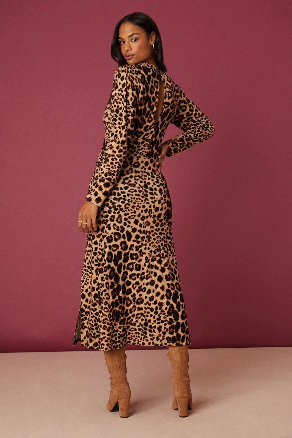 Animal print dress sales dorothy perkins