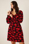 Dorothy Perkins Curve Red Floral Ruched Front Mini Dress thumbnail 2