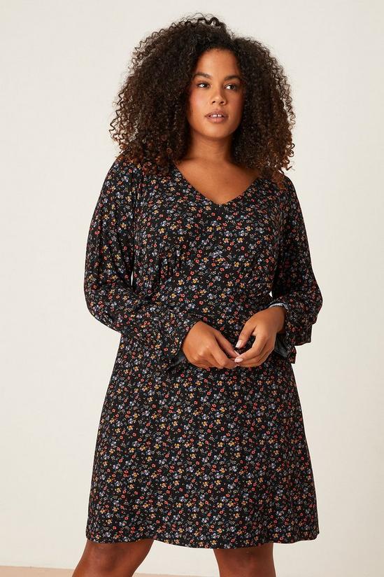 Dorothy Perkins Curve Floral Ruched Front Mini Dress 2