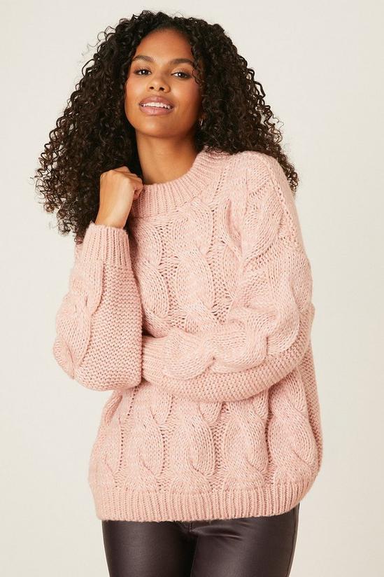 Dorothy Perkins Petite Cable Knitted Jumper 1