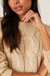 Dorothy Perkins Tall Cable Knitted Jumper thumbnail 4