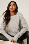 Dorothy Perkins Stitch Detail Knitted Jumper thumbnail 1
