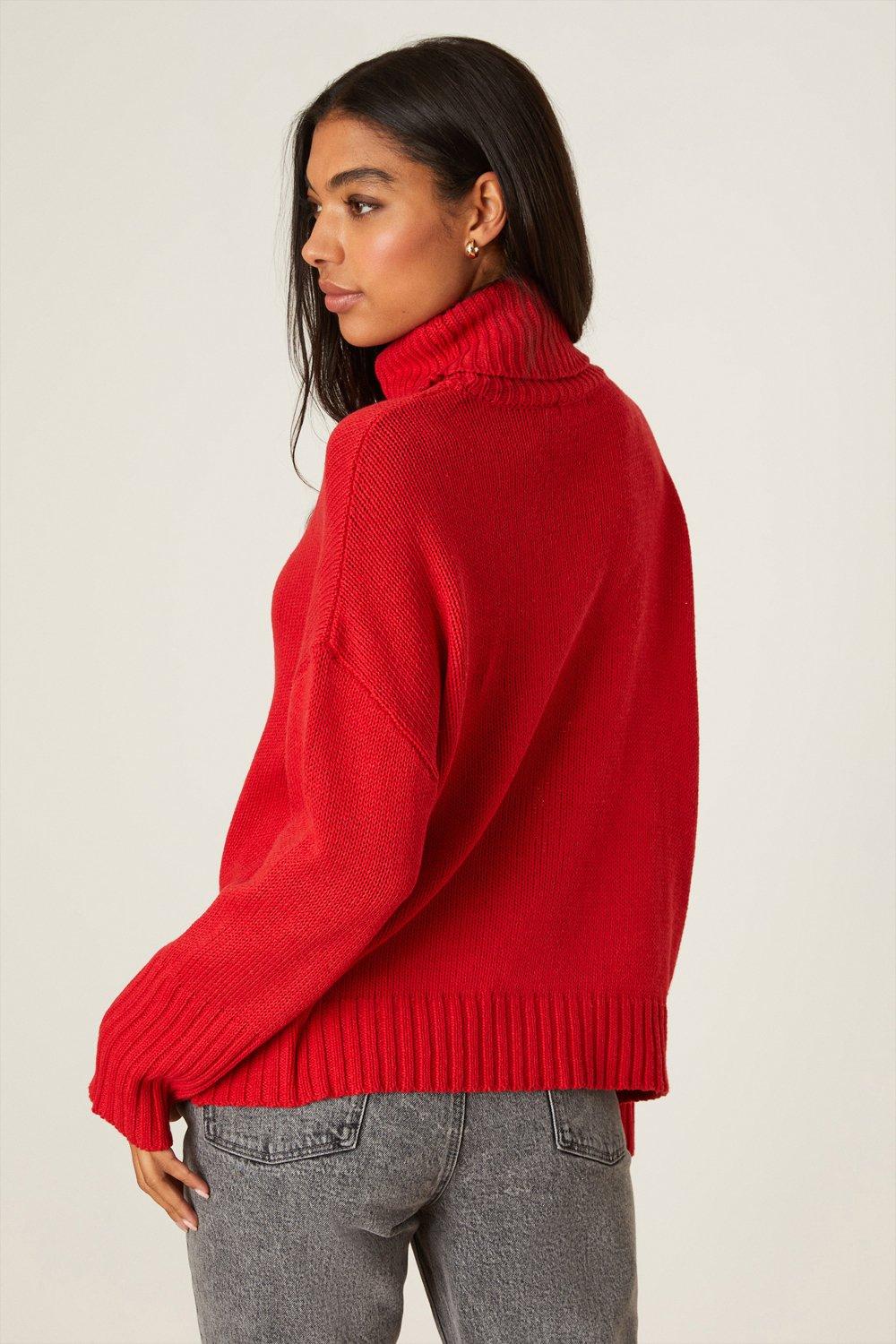 Dorothy perkins clearance roll neck jumper