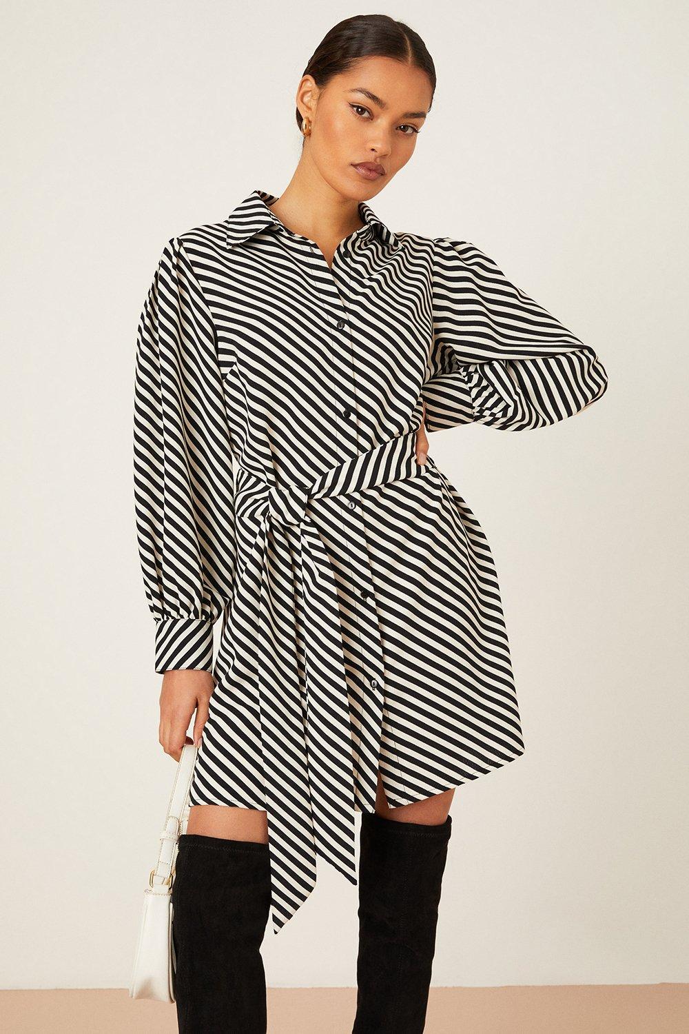 Women’s Petite Mono Stripe Mini Shirt Dress - 4