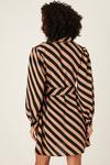 Dorothy Perkins Camel Stripe Belted Mini Shirt Dress thumbnail 3