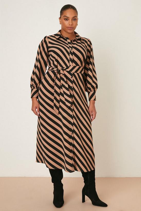 Dorothy Perkins Curve Camel Stripe Shirt Dress 1
