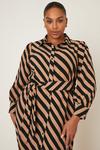 Dorothy Perkins Curve Camel Stripe Shirt Dress thumbnail 2