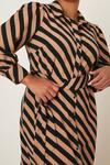 Dorothy Perkins Curve Camel Stripe Shirt Dress thumbnail 4