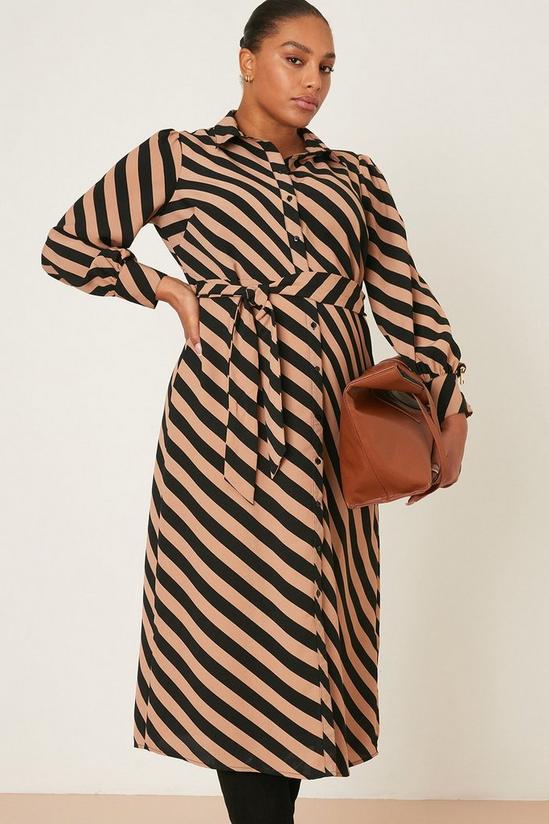 Dorothy Perkins Curve Camel Stripe Shirt Dress 5