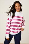 Dorothy Perkins Hot Pink Stripe Knitted Jumper thumbnail 2