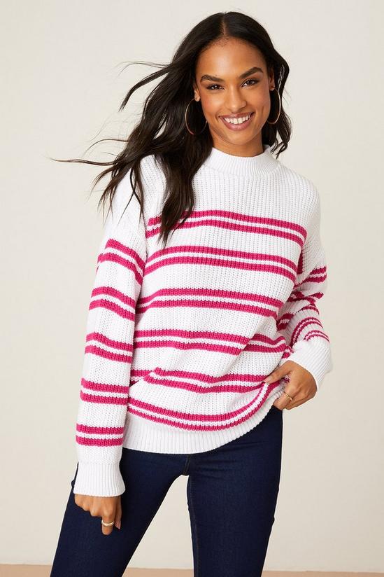 Dorothy Perkins Hot Pink Stripe Knitted Jumper 2