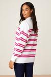 Dorothy Perkins Hot Pink Stripe Knitted Jumper thumbnail 3