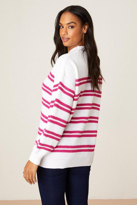 Dorothy Perkins Hot Pink Stripe Knitted Jumper 3