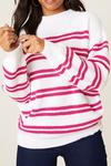 Dorothy Perkins Hot Pink Stripe Knitted Jumper thumbnail 4