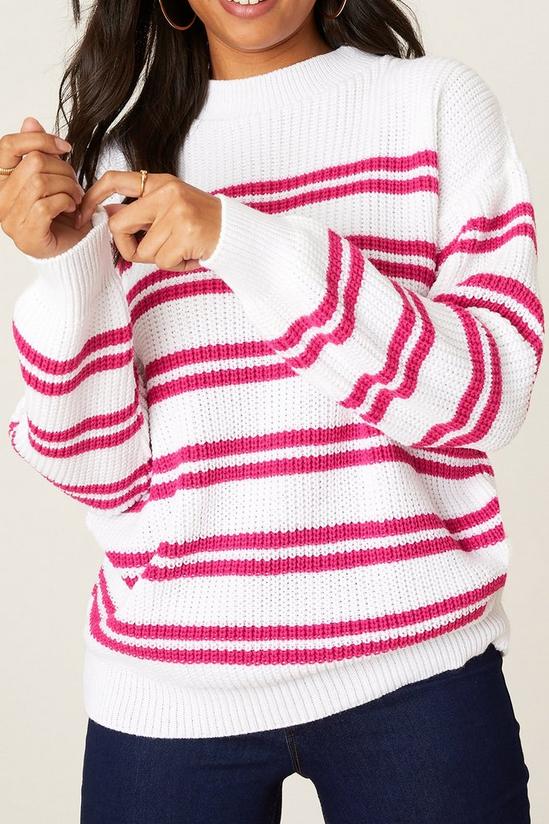 Dorothy Perkins Hot Pink Stripe Knitted Jumper 4