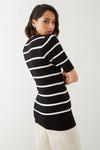 Dorothy Perkins Tall Stripe Button Shoulder Half Sleeve Knitted Top thumbnail 3