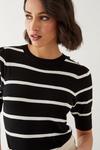 Dorothy Perkins Tall Stripe Button Shoulder Half Sleeve Knitted Top thumbnail 4