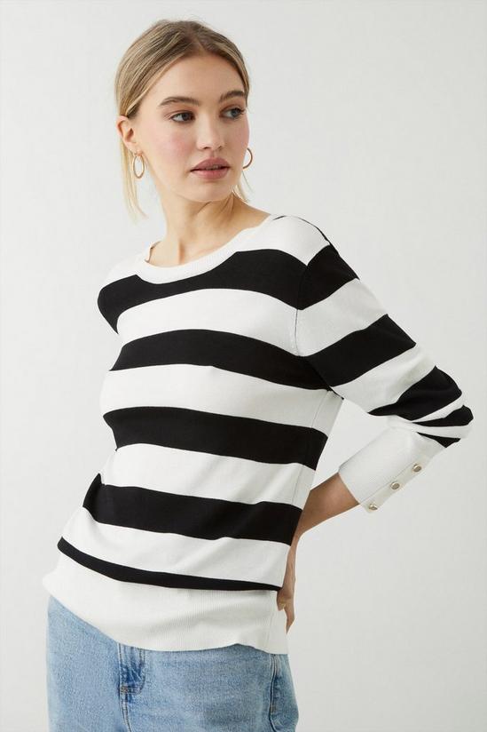 Dorothy Perkins Stripe Button Cuff Knitted Jumper 1