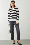 Dorothy Perkins Petite Stripe Button Cuff Knitted Jumper thumbnail 2