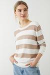 Dorothy Perkins Stripe Button Cuff Knitted Jumper thumbnail 1