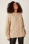 Dorothy Perkins Curve  Embroidered Spot Knitted Jumper thumbnail 1