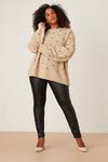 Dorothy Perkins Curve  Embroidered Spot Knitted Jumper thumbnail 2