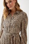 Dorothy Perkins Leopard Print Belted Mini Shirt Dress thumbnail 5