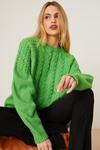Dorothy Perkins Cable Knitted Jumper thumbnail 1