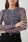 Dorothy Perkins Tall Mesh Fitted Long Sleeve Top thumbnail 4